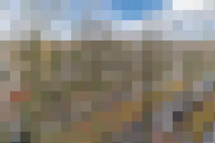 Postelse Hoeflaan 67 Tilburg thumbnail 29