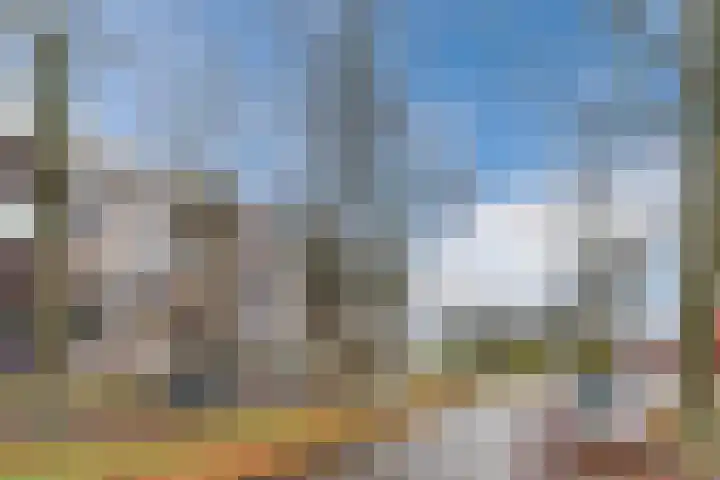 Postelse Hoeflaan 67 Tilburg thumbnail 39