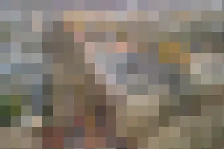 Postelse Hoeflaan 67 Tilburg thumbnail 41