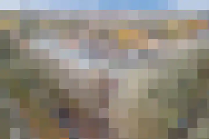Postelse Hoeflaan 67 Tilburg thumbnail 42