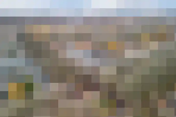 Postelse Hoeflaan 67 Tilburg thumbnail 43