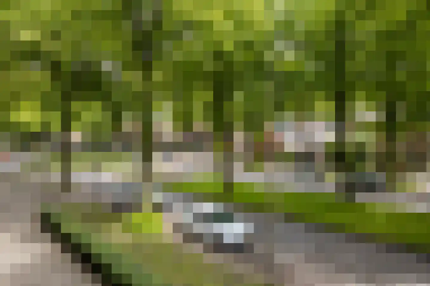 Postelse Hoeflaan 71 a Tilburg thumbnail 29