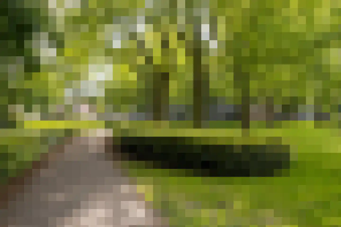 Postelse Hoeflaan 71 a Tilburg thumbnail 31