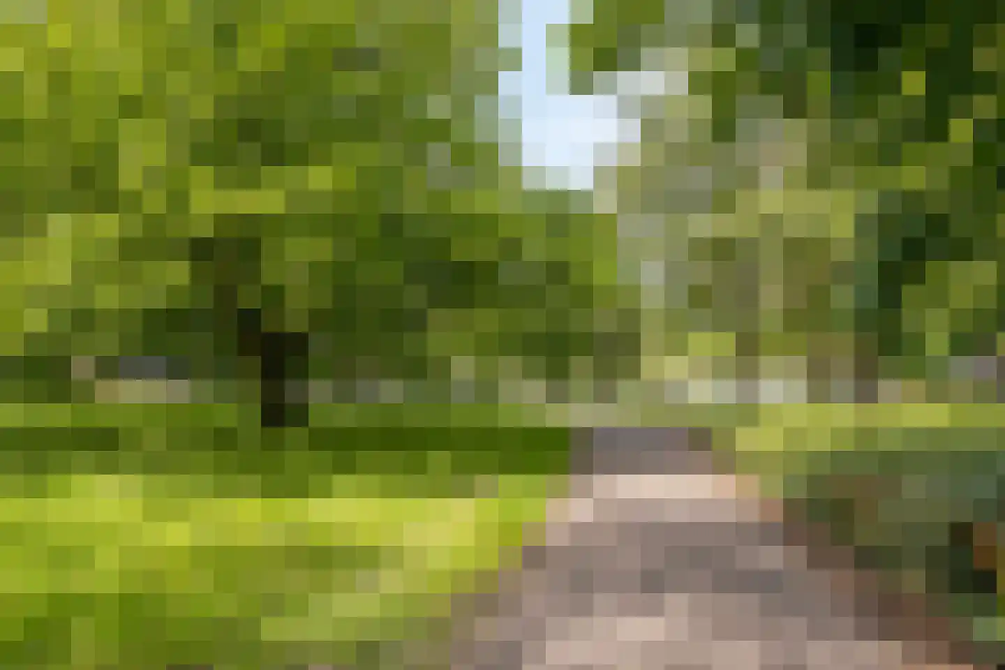 Postelse Hoeflaan 71 a Tilburg thumbnail 32