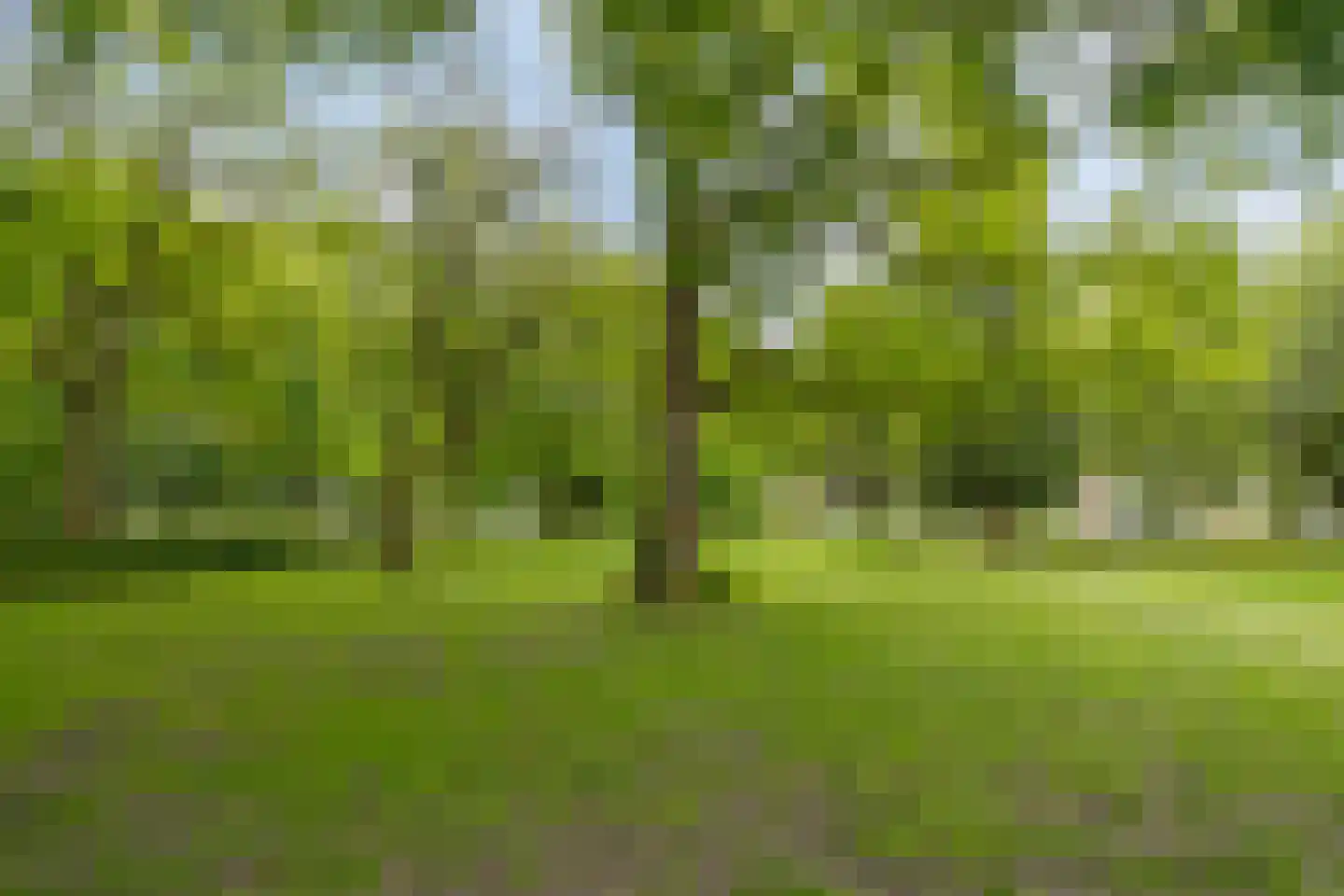 Postelse Hoeflaan 71 a Tilburg thumbnail 34