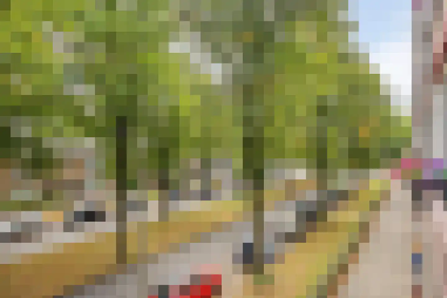 Postelse Hoeflaan 81 a Tilburg thumbnail 34
