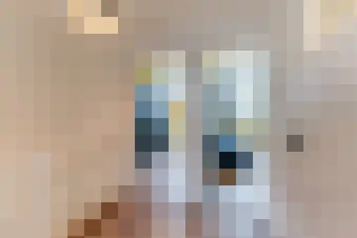 Postelse Hoeflaan 83 a Tilburg thumbnail 23