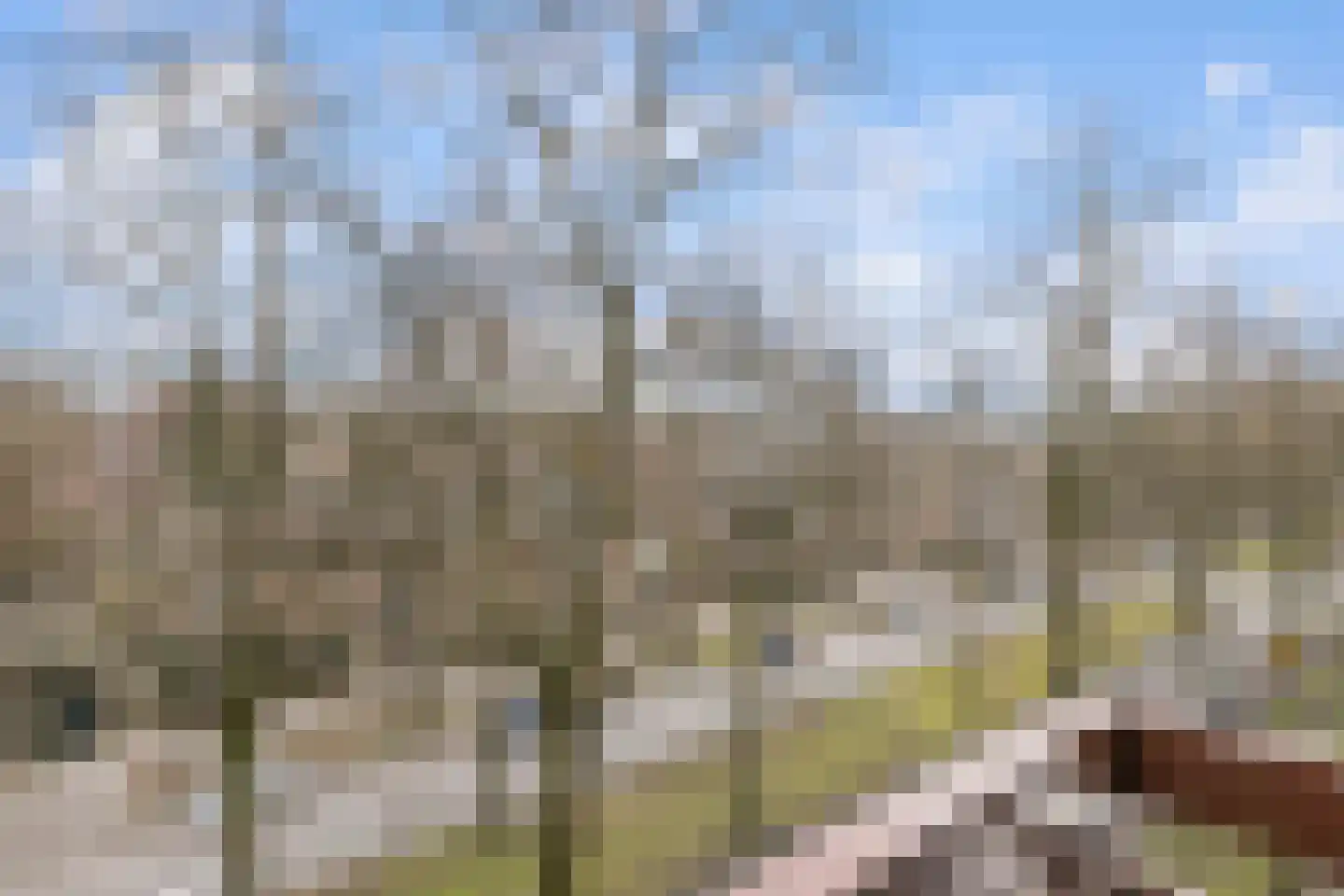 Postelse Hoeflaan 93 Tilburg thumbnail 10