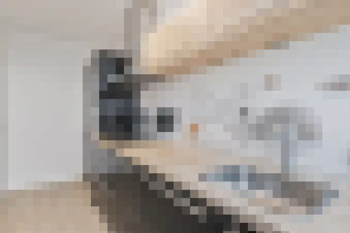 Postelse Hoeflaan 93 Tilburg thumbnail 12