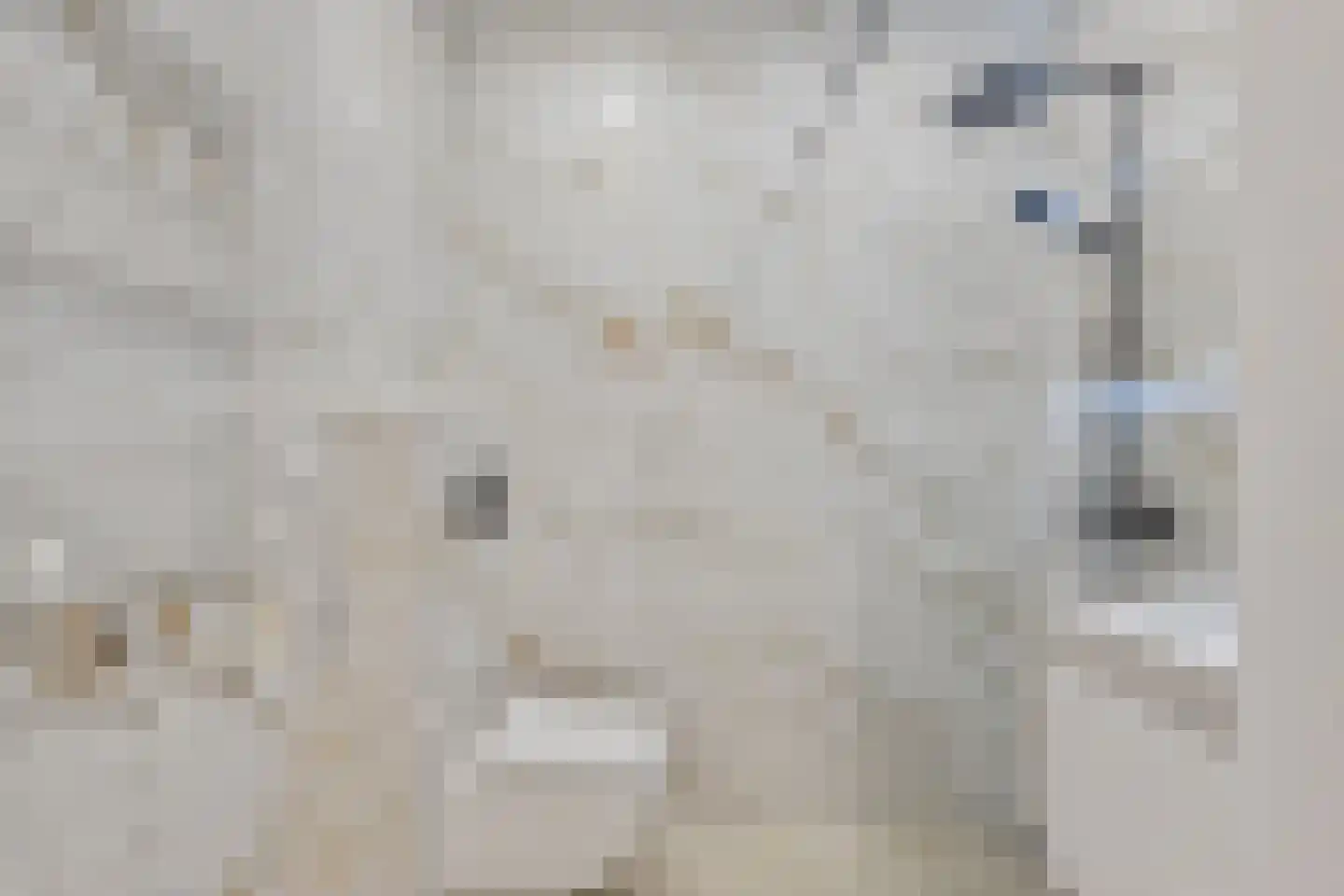 Postelse Hoeflaan 93 Tilburg thumbnail 25