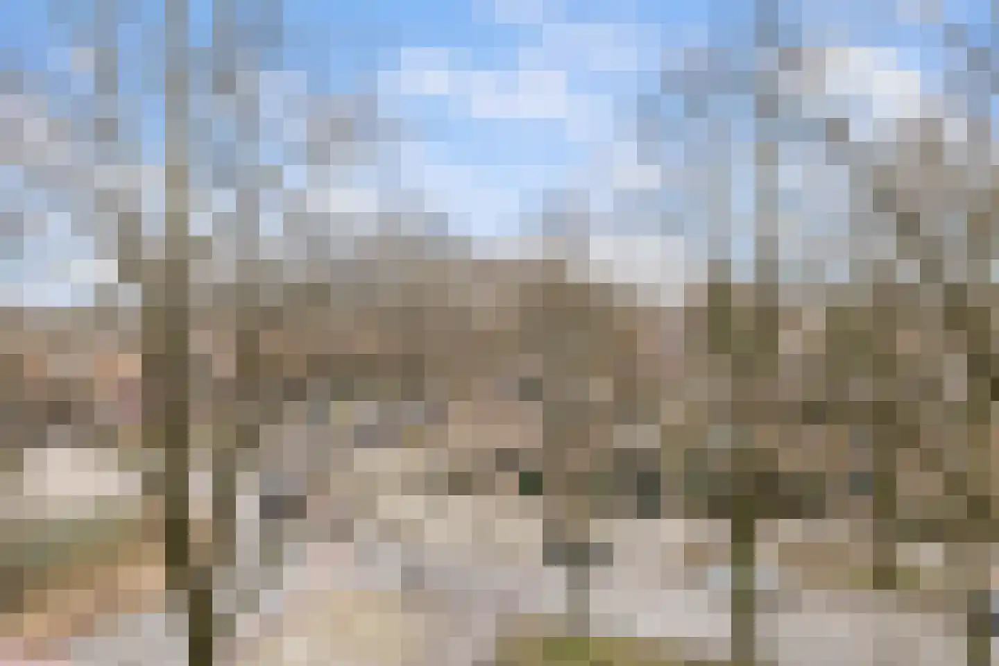 Postelse Hoeflaan 93 Tilburg thumbnail 9