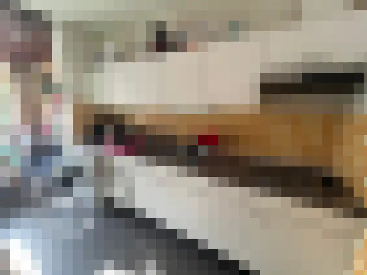 Postelse Hoeflaan 96 02 Tilburg thumbnail 6