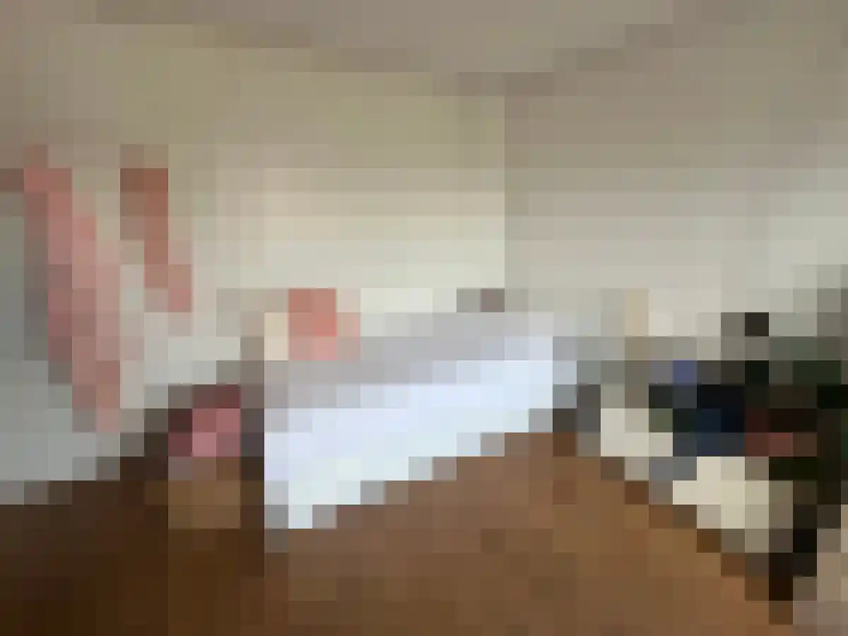 Postelse Hoeflaan 96 04 Tilburg thumbnail 5
