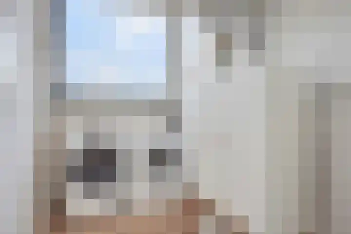 Postelse Hoeflaan 97 Tilburg thumbnail 15