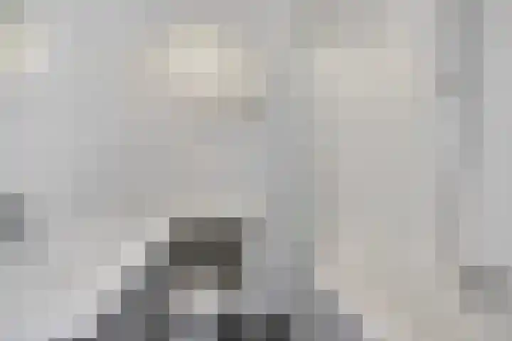 Postelse Hoeflaan 97 Tilburg thumbnail 21