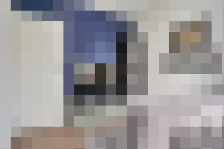 Postelse Hoeflaan 97 Tilburg thumbnail 24