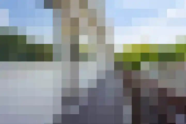 Postelse Hoeflaan 97 Tilburg thumbnail 27