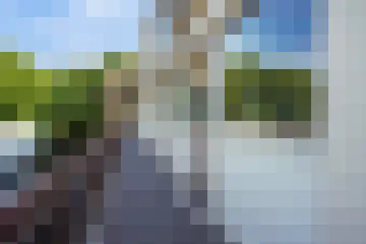 Postelse Hoeflaan 97 Tilburg thumbnail 28