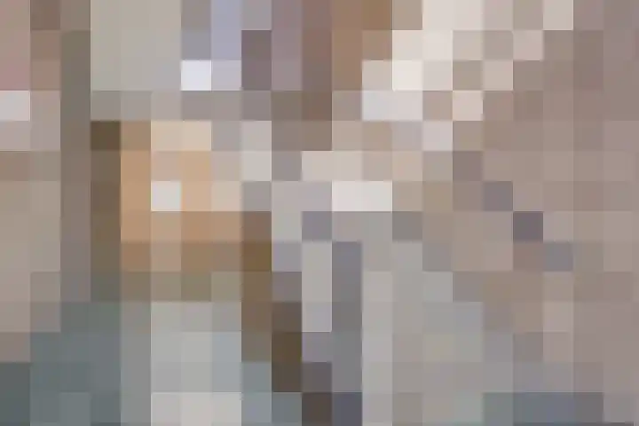Postelse Hoeflaan 97 Tilburg thumbnail 29