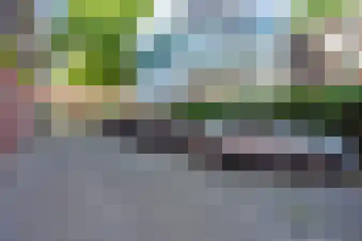 Postelse Hoeflaan 97 Tilburg thumbnail 32