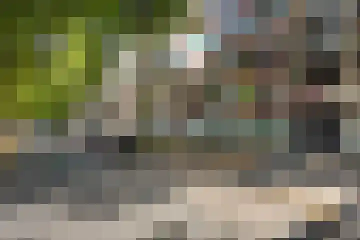 Postelse Hoeflaan 97 Tilburg thumbnail 34