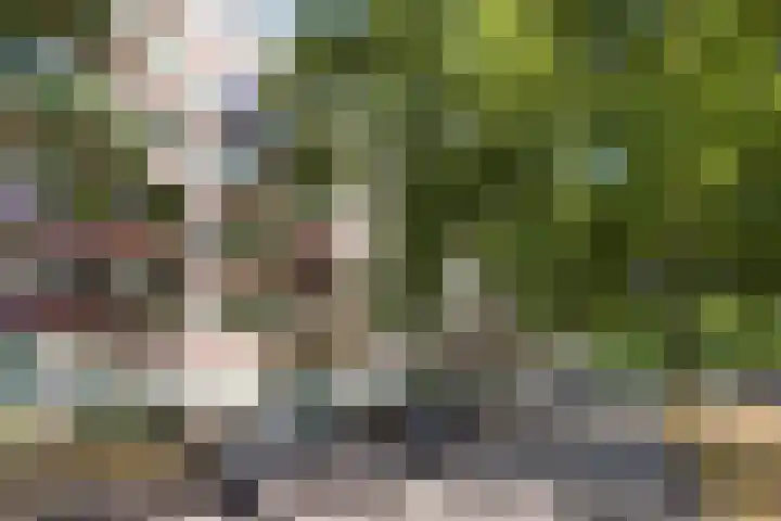 Postelse Hoeflaan 97 Tilburg thumbnail 35