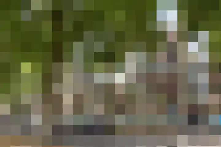 Postelse Hoeflaan 97 Tilburg thumbnail 36