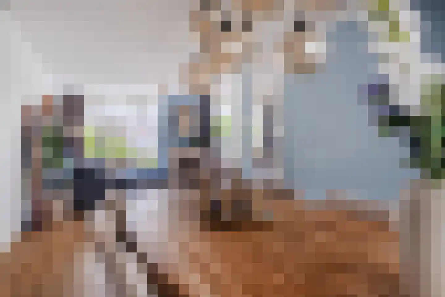 Postelseweg 115 Eersel thumbnail 12
