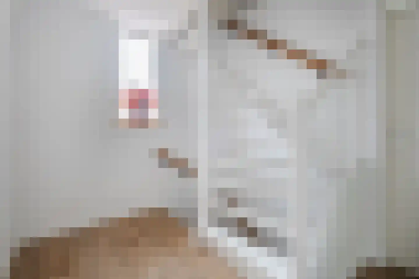 Postelseweg 115 Eersel thumbnail 21
