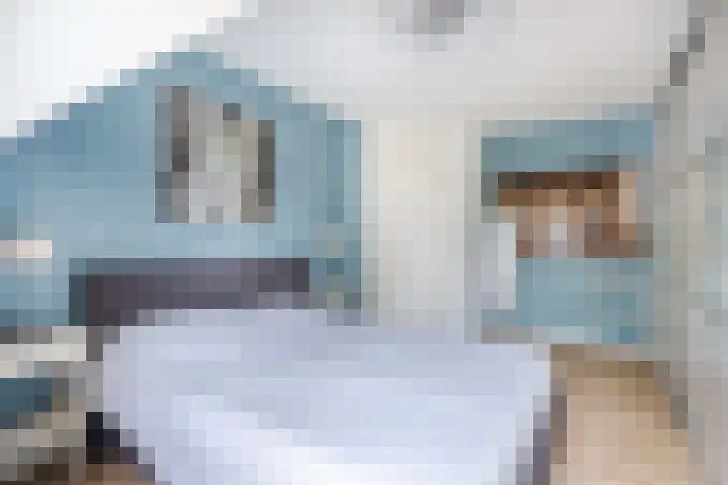 Postelseweg 115 Eersel thumbnail 23