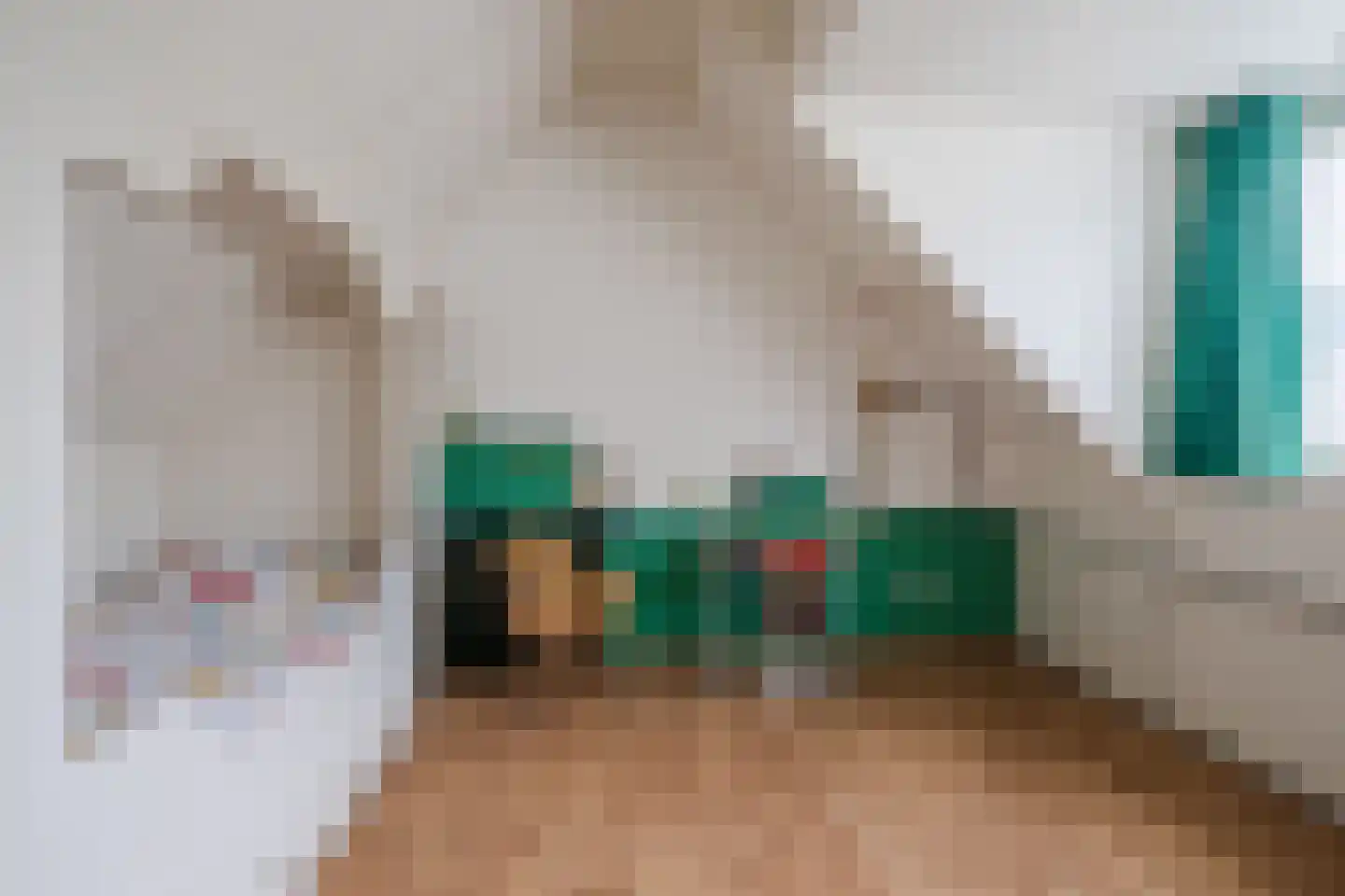 Postelseweg 115 Eersel thumbnail 28
