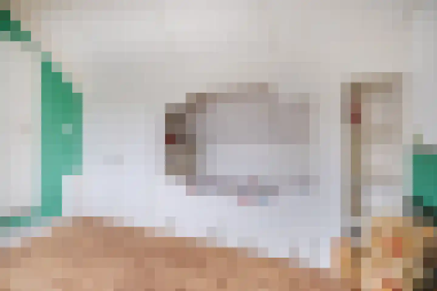 Postelseweg 115 Eersel thumbnail 29