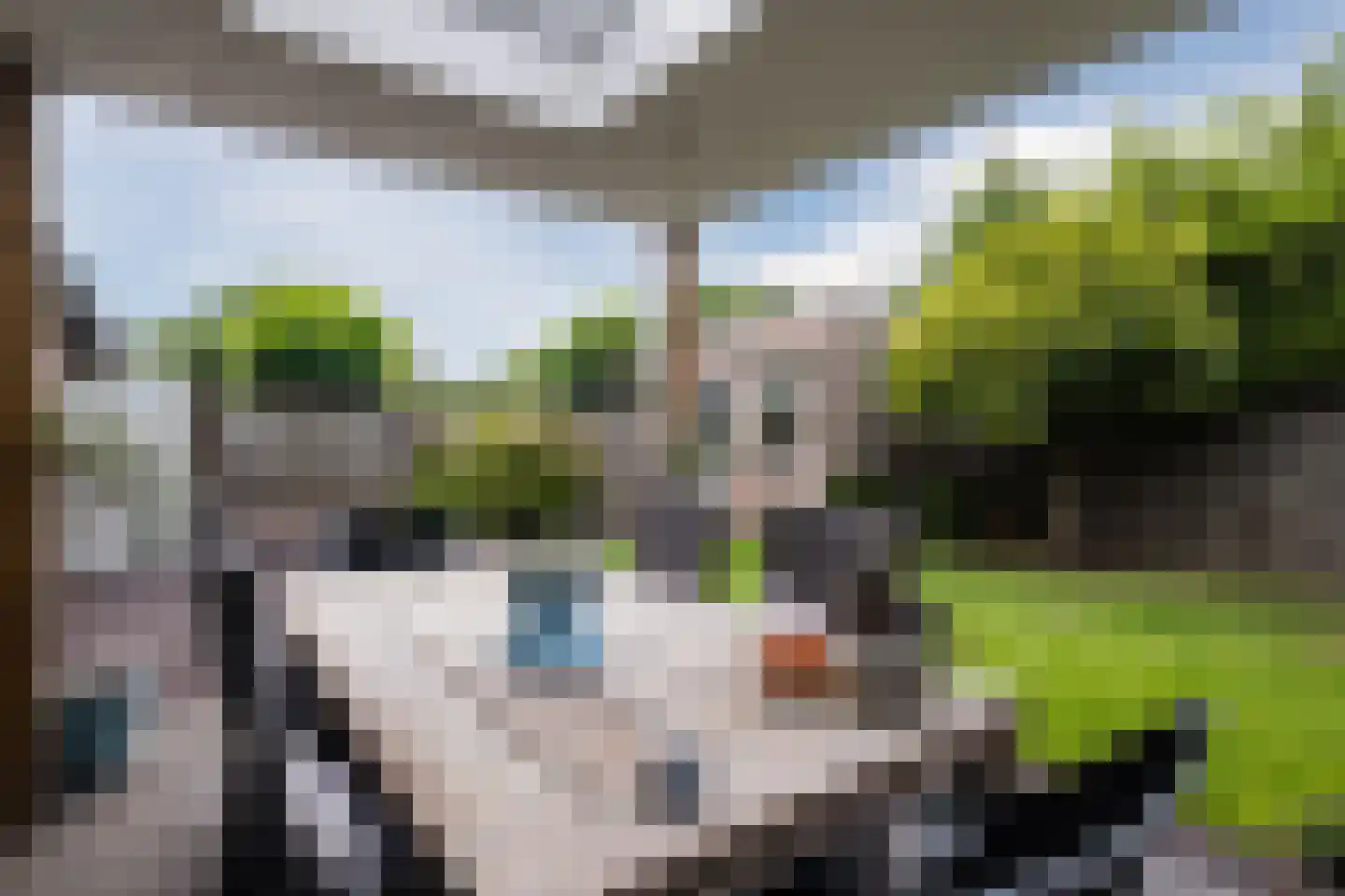 Postelseweg 115 Eersel thumbnail 38