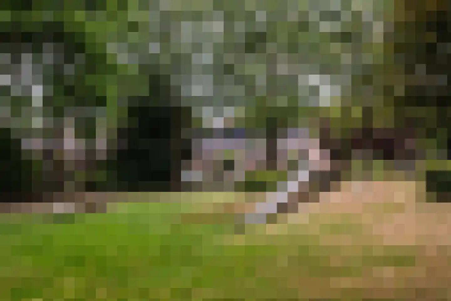 Postelseweg 115 Eersel thumbnail 47