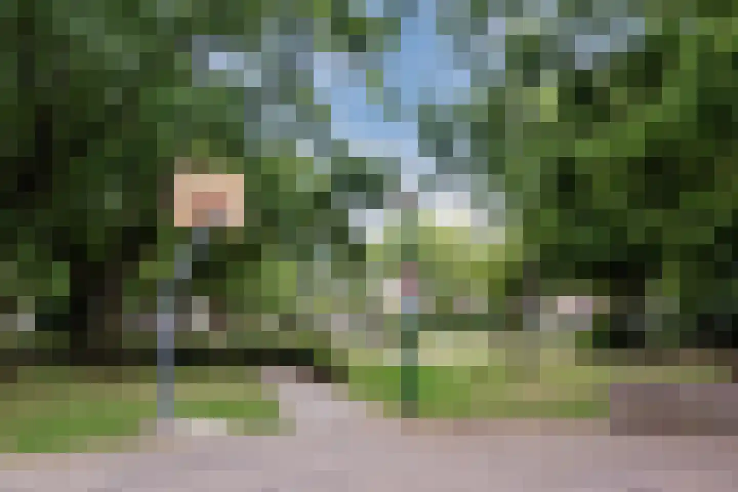 Postelseweg 115 Eersel thumbnail 48