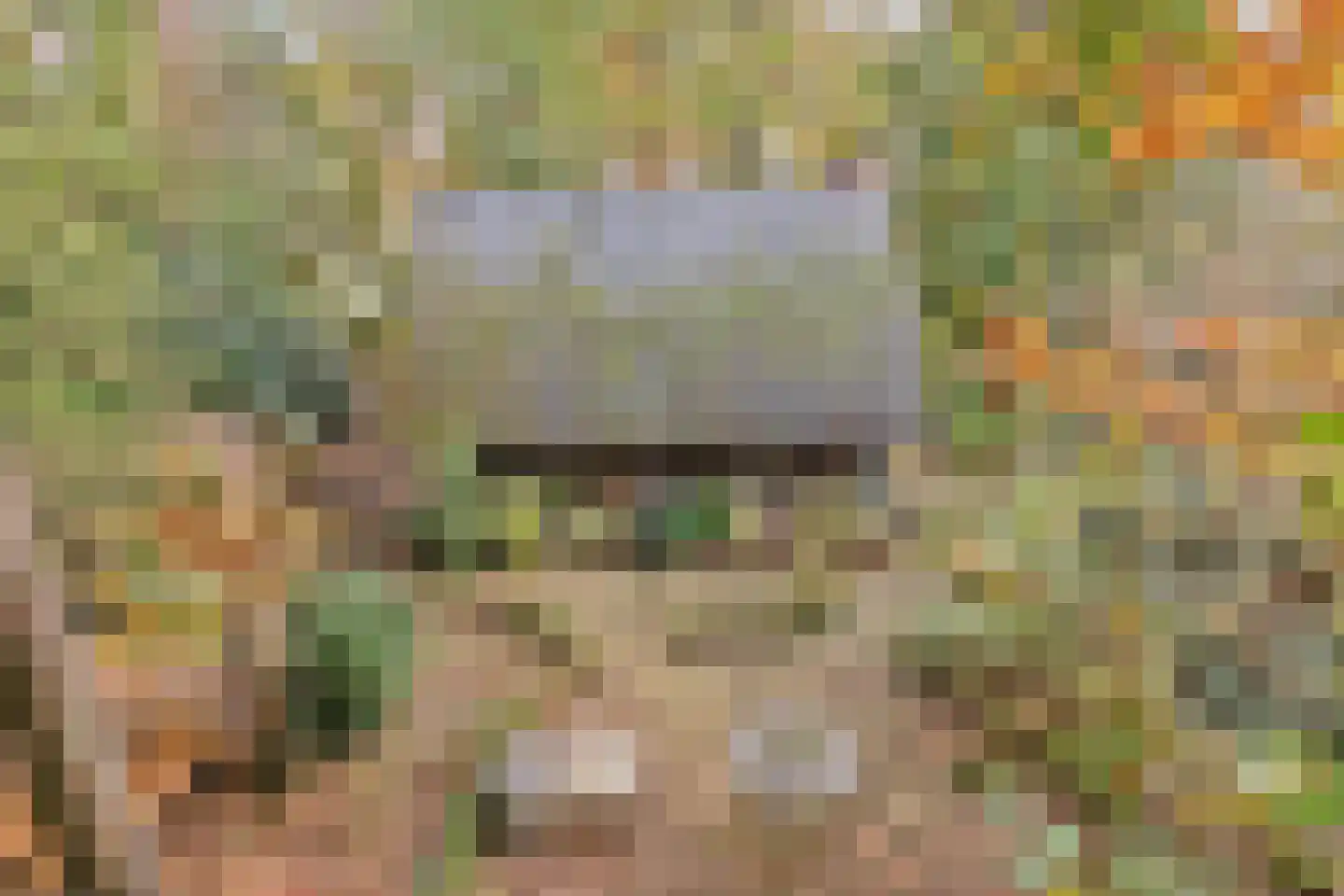 Postelseweg 185 b 2 Eersel thumbnail 10