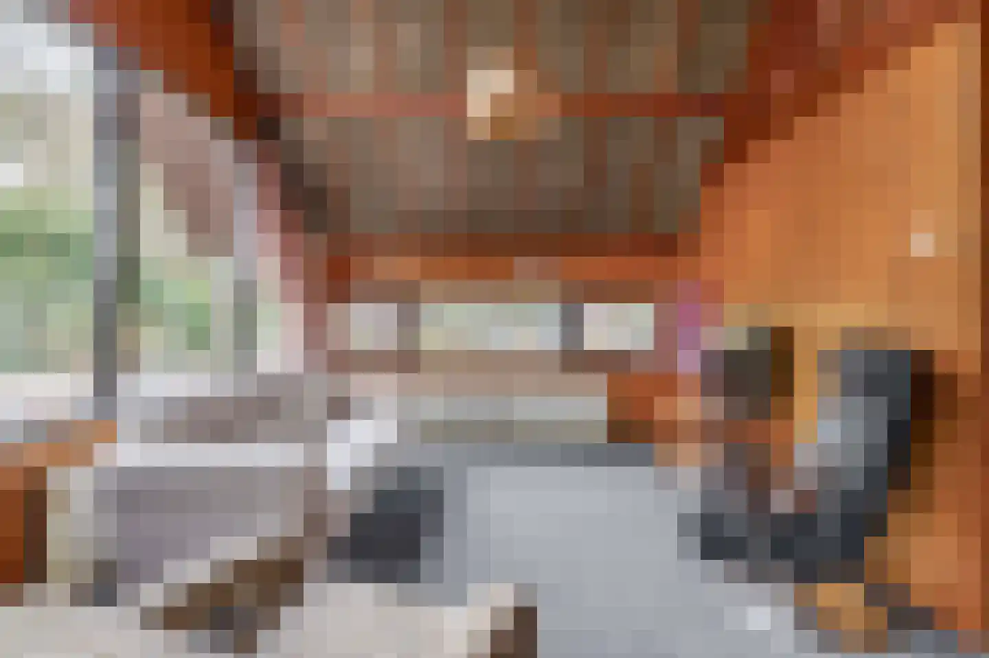 Postelseweg 185 b 2 Eersel thumbnail 12