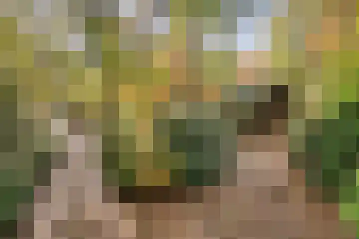 Postelseweg 185 b 2 Eersel thumbnail 12
