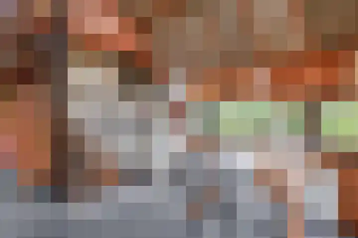 Postelseweg 185 b 2 Eersel thumbnail 18