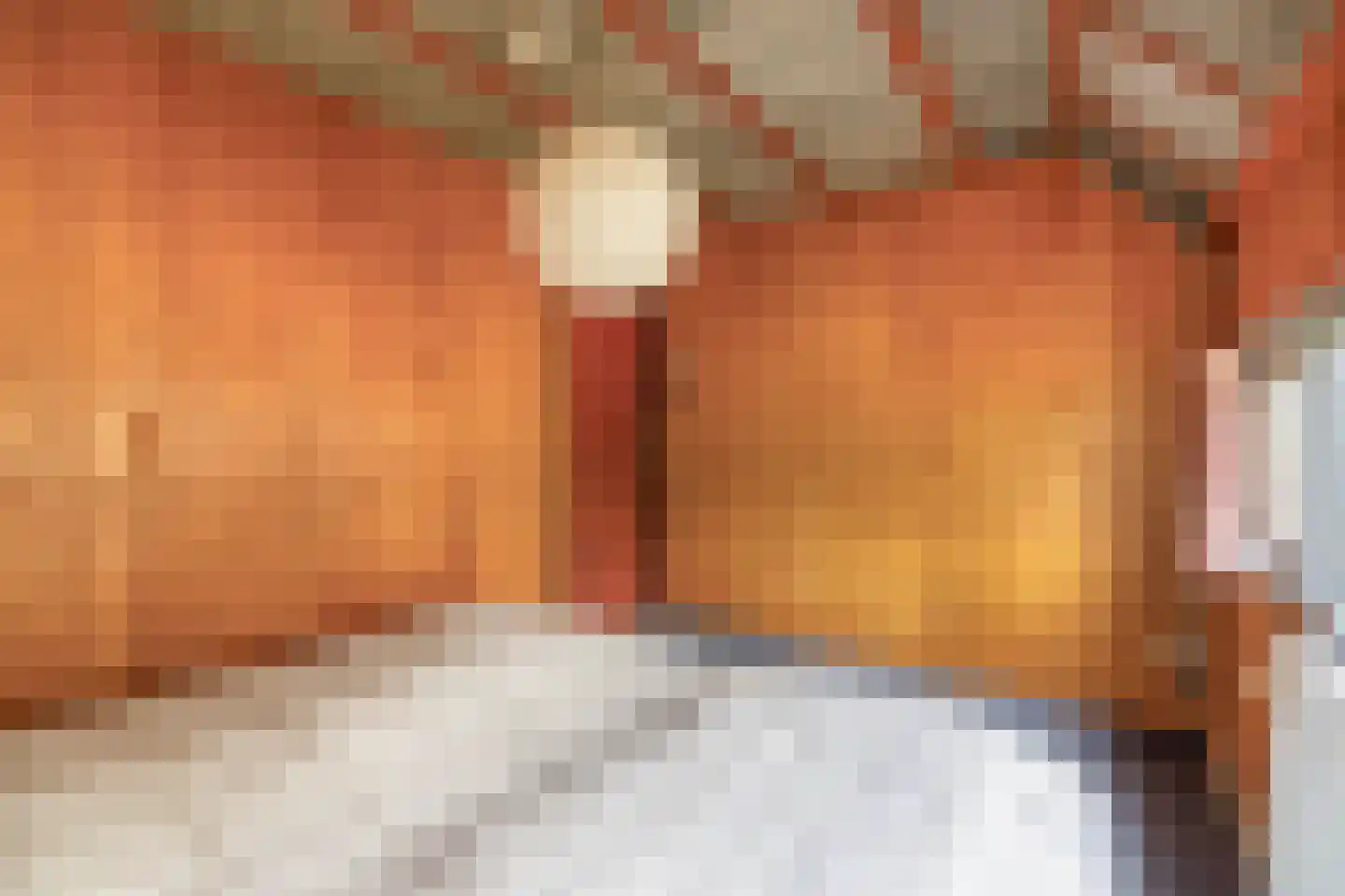 Postelseweg 185 b 2 Eersel thumbnail 22