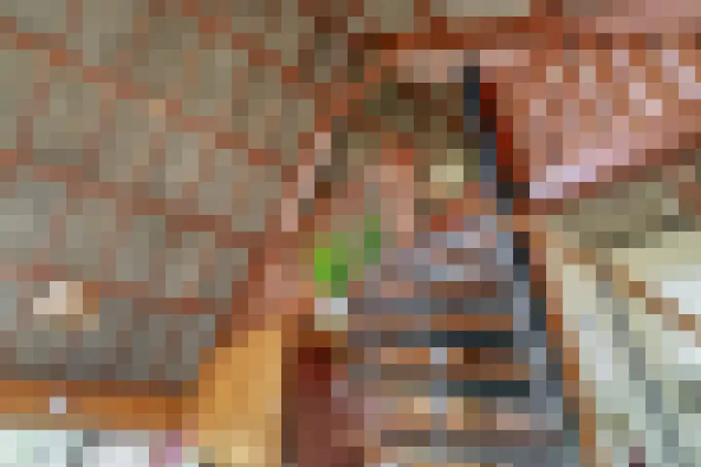 Postelseweg 185 b 2 Eersel thumbnail 26