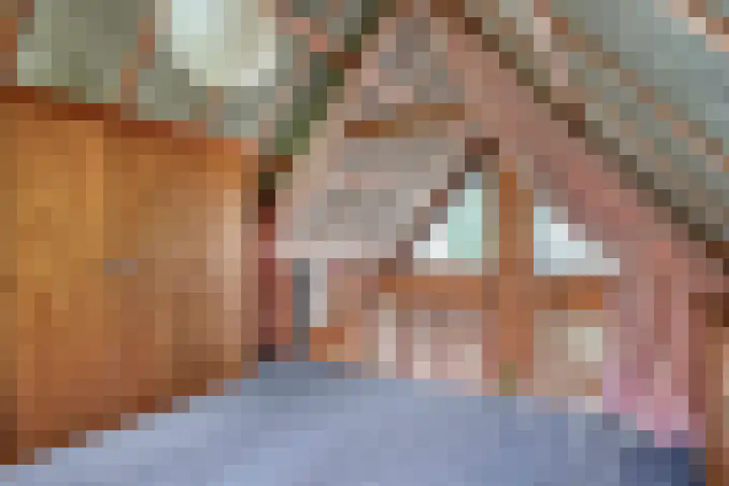 Postelseweg 185 b 2 Eersel thumbnail 29