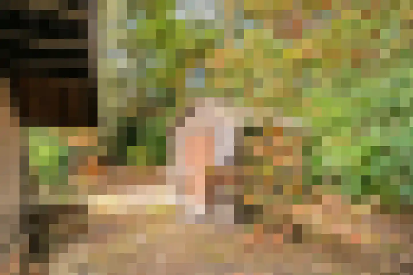 Postelseweg 185 b 2 Eersel thumbnail 31