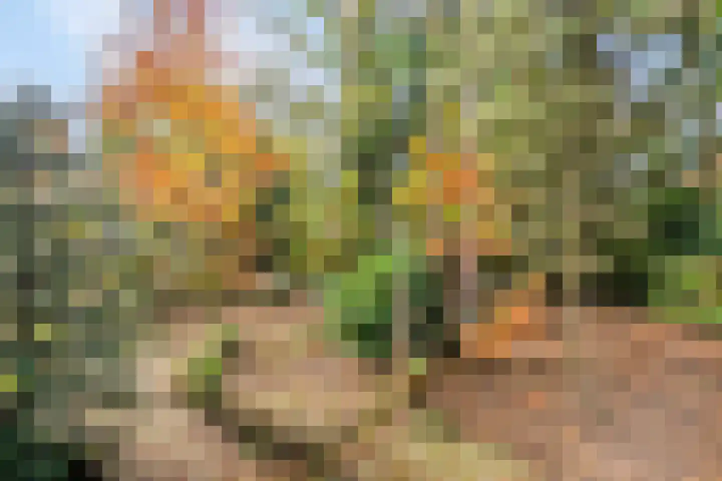 Postelseweg 185 b 2 Eersel thumbnail 32