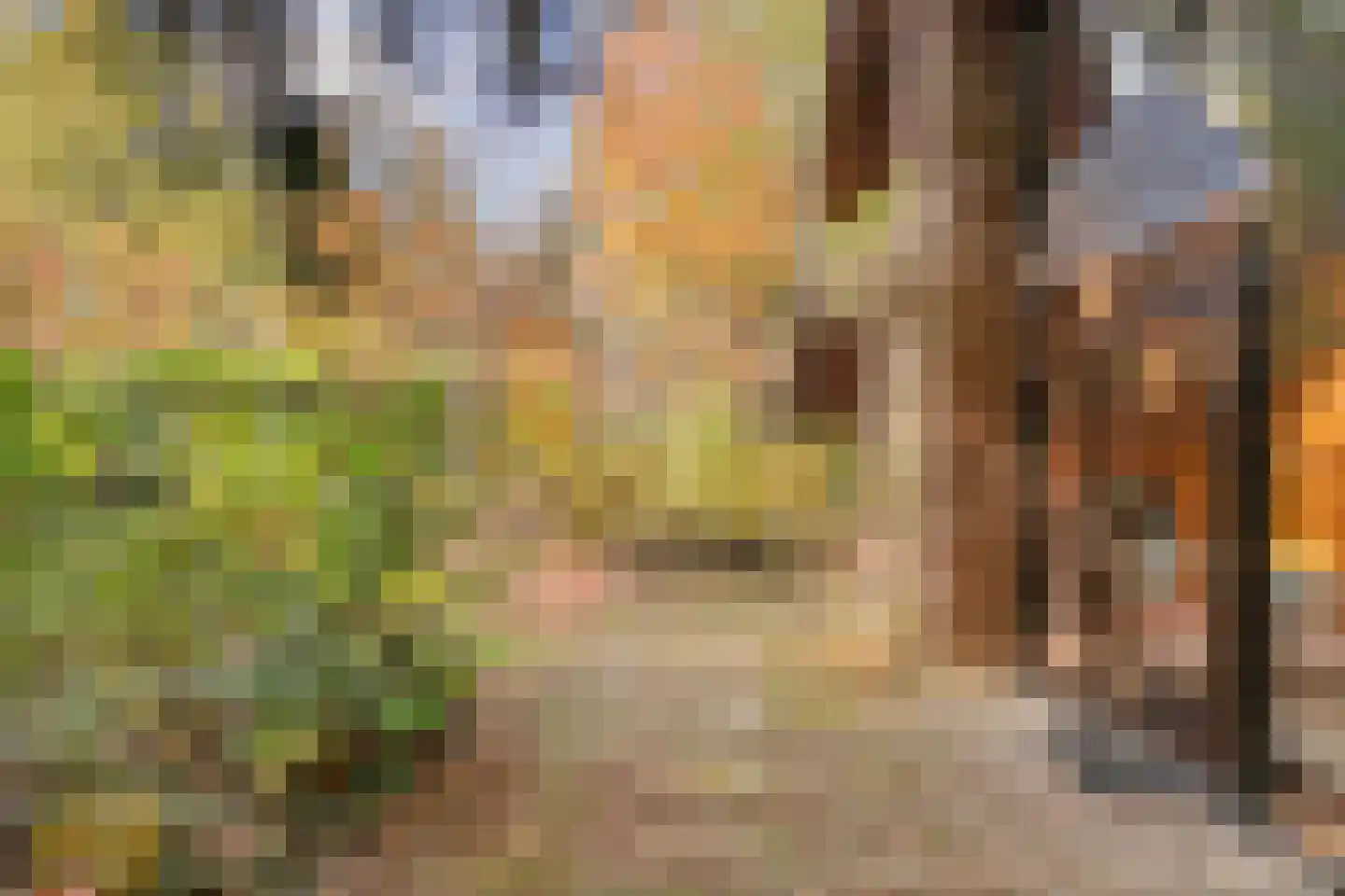 Postelseweg 185 b 2 Eersel thumbnail 33