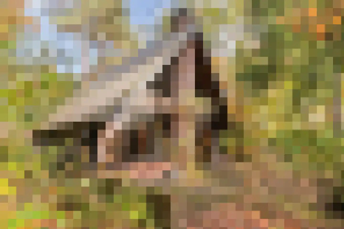Postelseweg 185 b 2 Eersel thumbnail 34