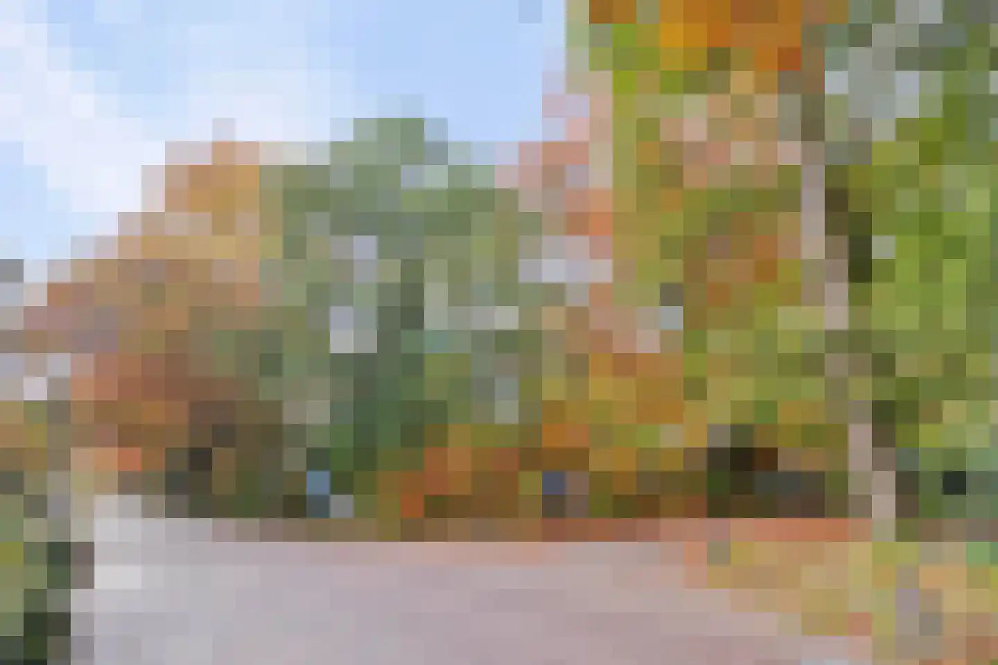 Postelseweg 185 b 2 Eersel thumbnail 35