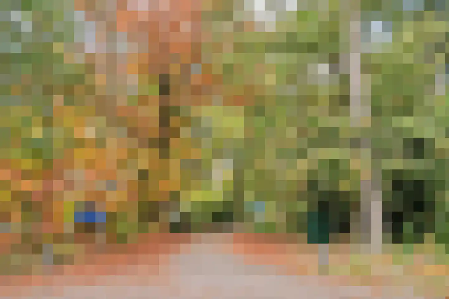 Postelseweg 185 b 2 Eersel thumbnail 36