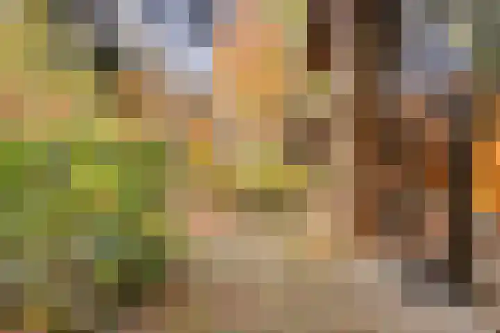 Postelseweg 185 b 2 Eersel thumbnail 37