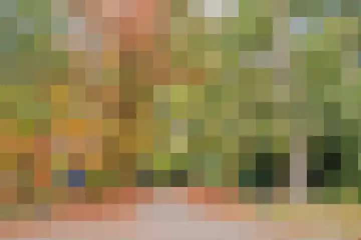 Postelseweg 185 b 2 Eersel thumbnail 40